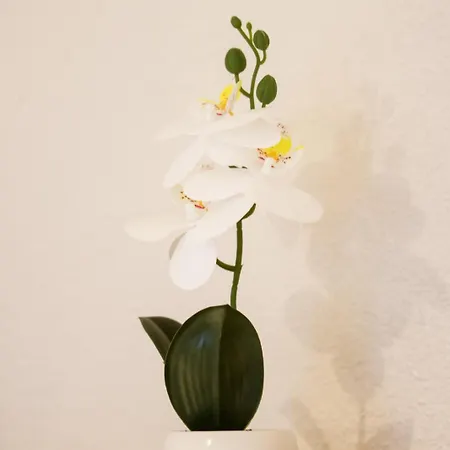 Marko - Dvorista Apartman *